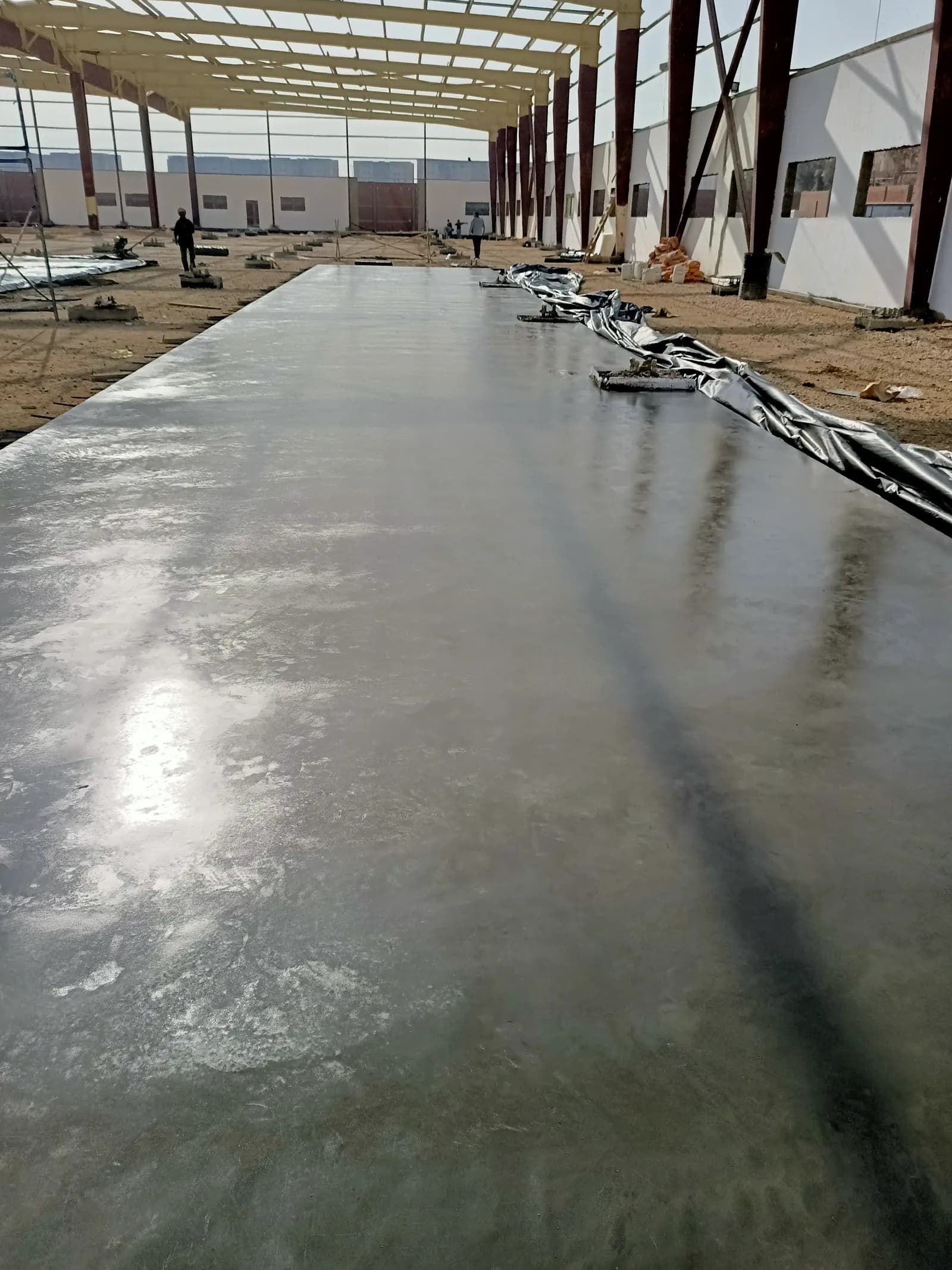 New Warehouse & Production Line — Venus